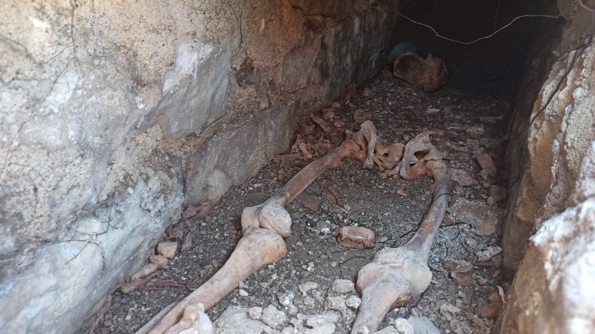 Kastamonu'da kuzeninin mezarını ararken bin 500 yıllık Bizans mezarını buldu