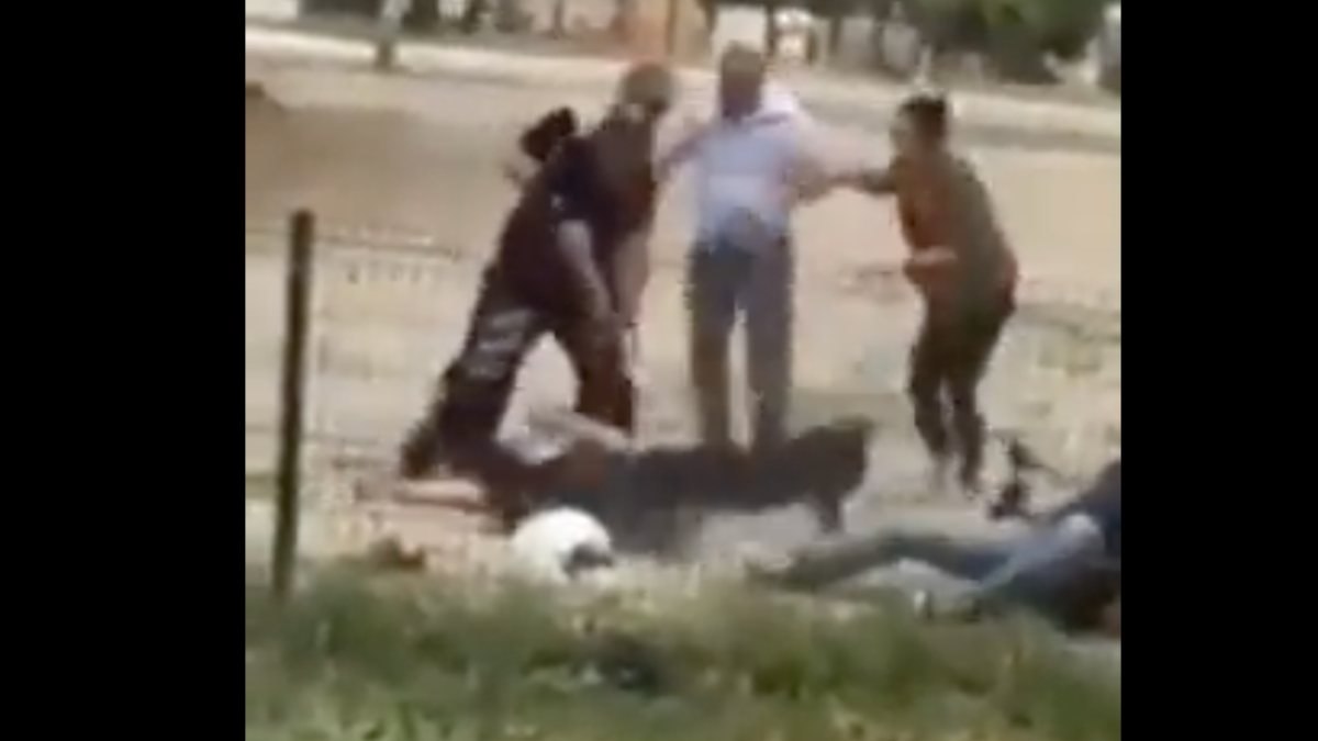 İzmir'de uyuşturucu operasyonunda pitbull cinsi köpek polise saldırdı