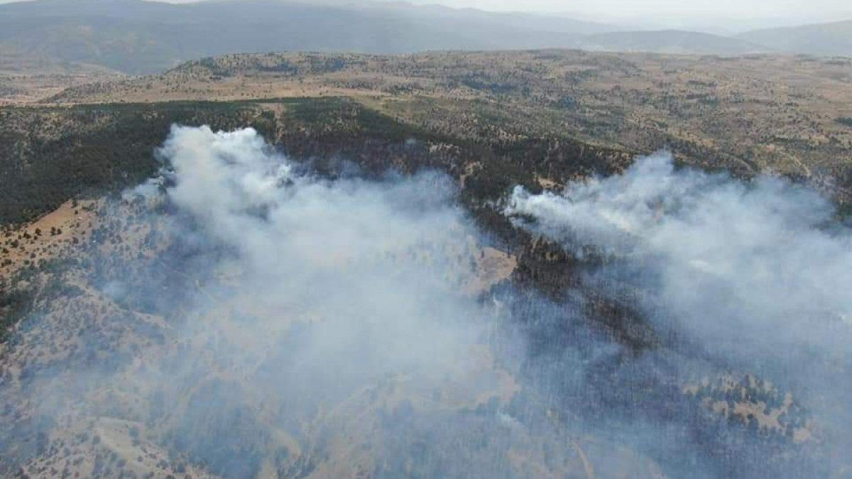 Erzincan'daki orman yangınında, 13 hektar kül oldu