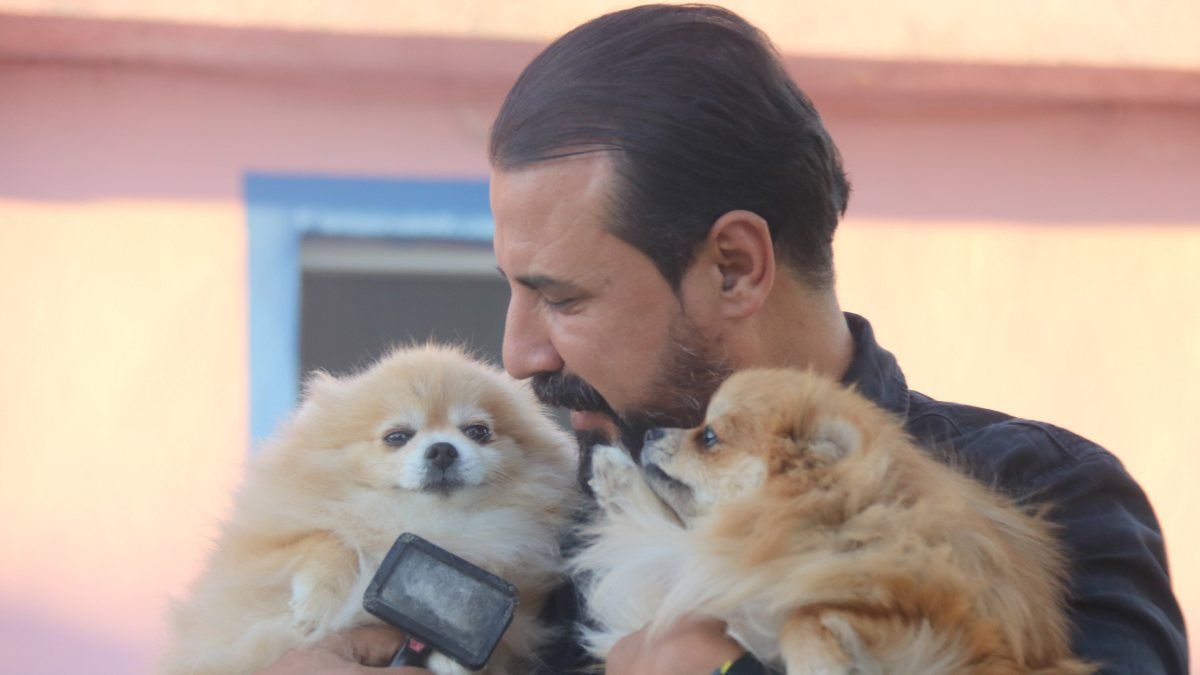 Diyarbakır Lice’de milyonluk ‘Pomeranian’ çiftliği kurdu