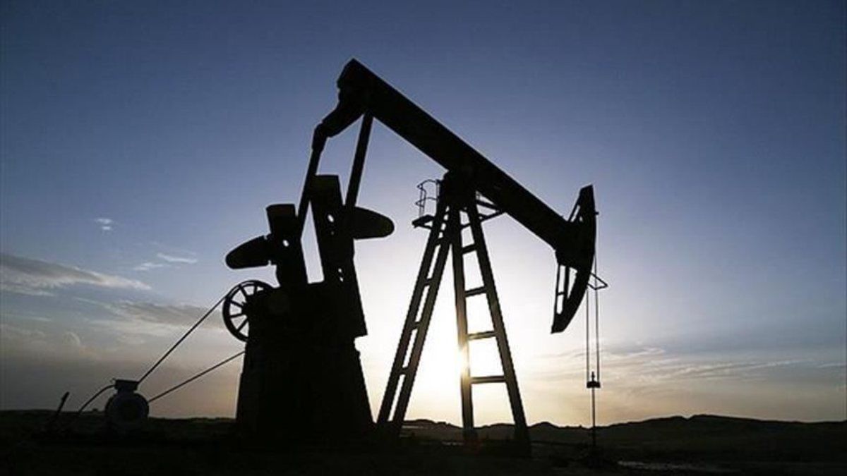TPAO 2 sahada petrol arayacak