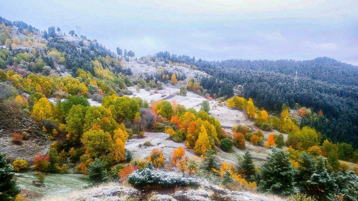 Artvin'in yaylaları beyaz gelinliğini giydi