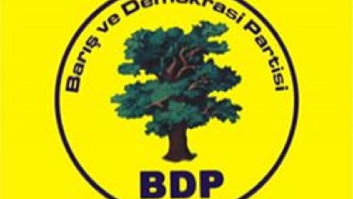 BDP İl Başkanı'ndan çarpıcı iddia