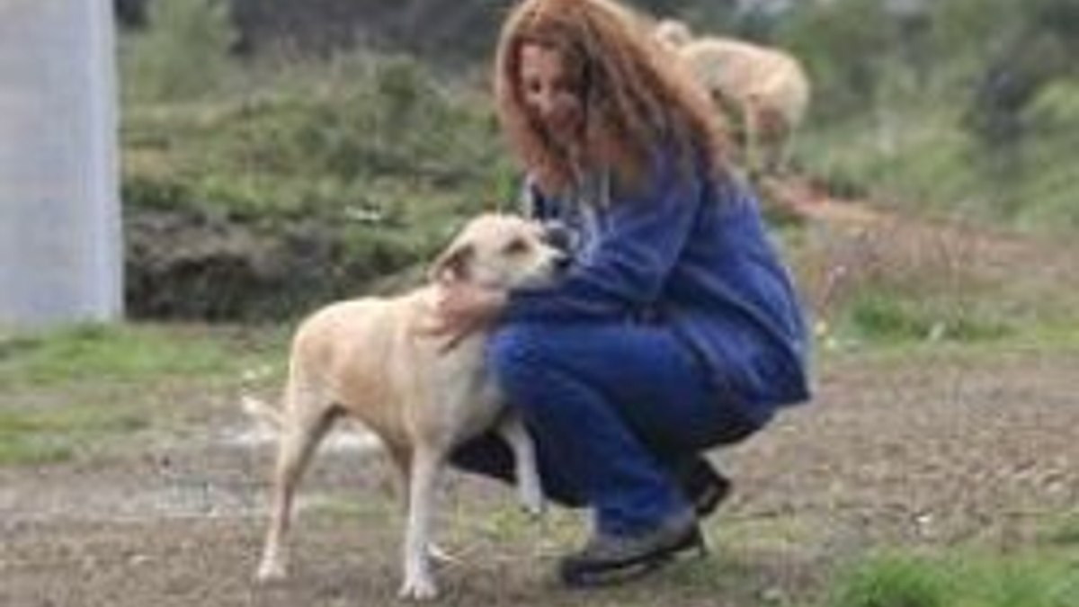 Tecavüze uğrayan köpek erkeklerden korkuyor