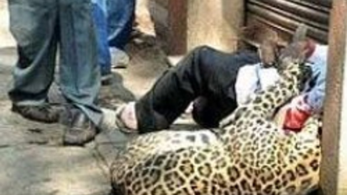 İnsan yiyen leopara sokak ortasında infaz