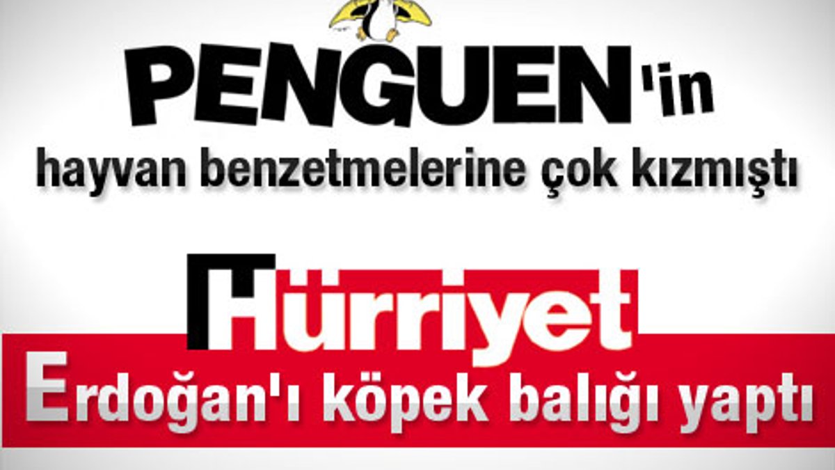 Hürriyet karikatürü Erdoğan'ı kızdıracak