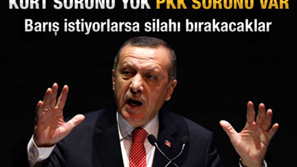 Erdoğan: Kürt sorunu yok PKK sorunu var