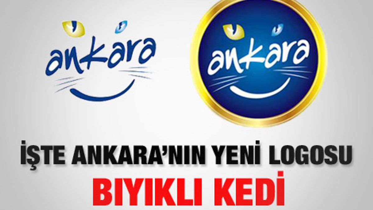 Ankara'nın yeni logosu belli oldu: Bıyıklı kedi