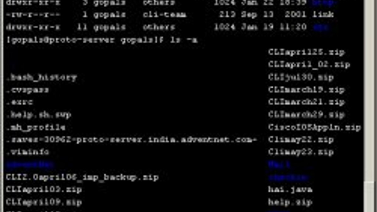 Telnet nedir?