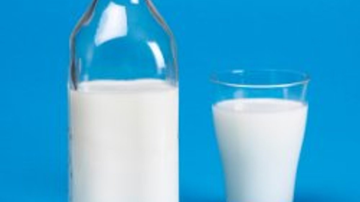 İnek sütü ile anne sütü arasında fark nedir