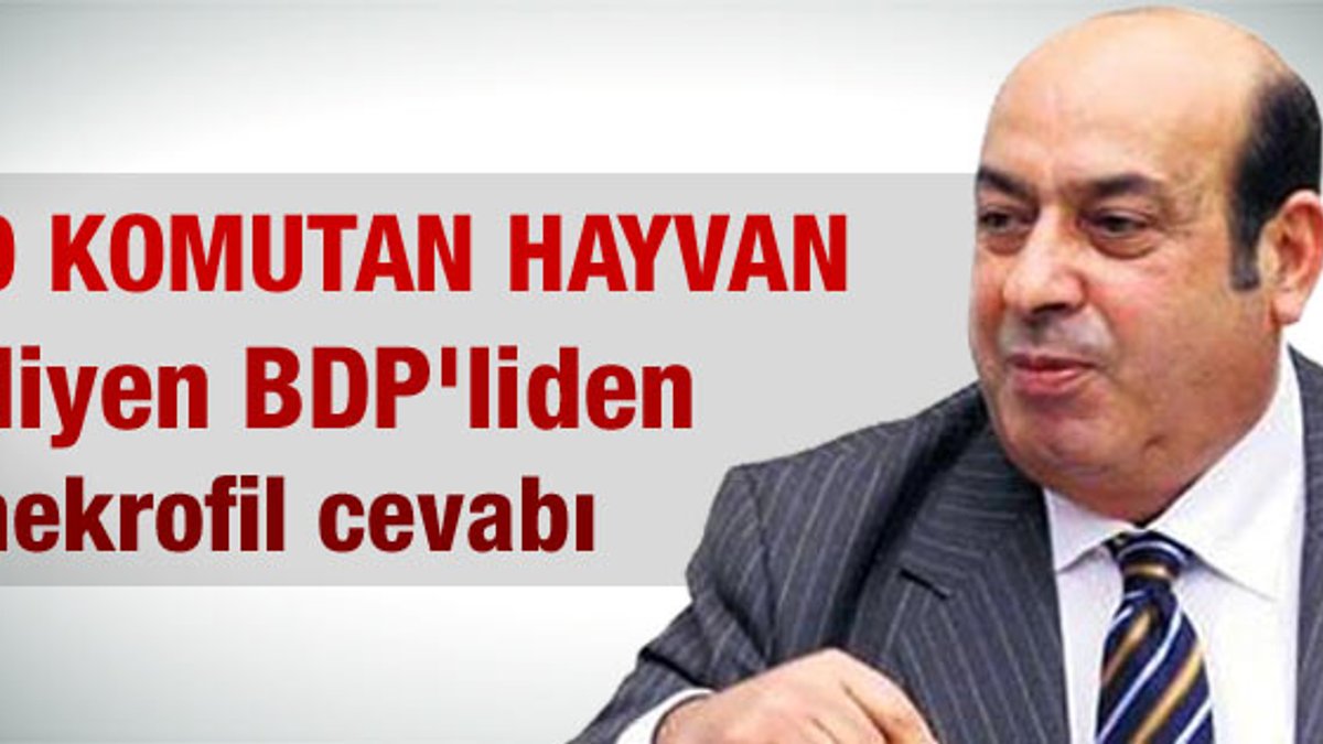 Hasip Kaplan'dan Erdoğan'a sert nekrofil yanıtı