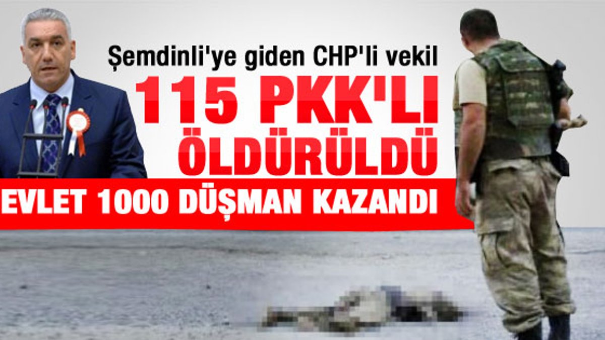 CHP'li vekilden çarpıcı PKK çıkışı