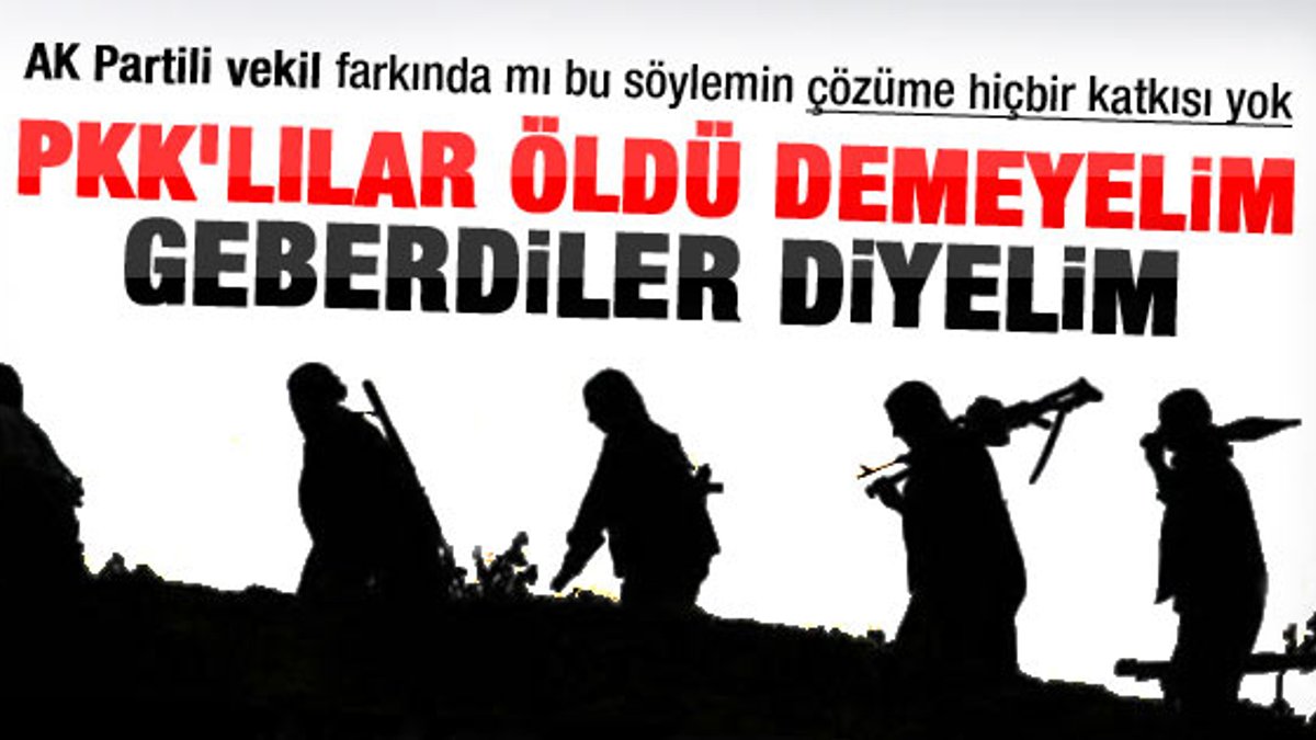 Öldürülen PKK'lılara gebertildi diyelim
