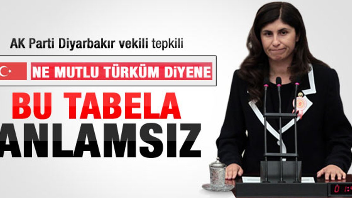 Ak Partili vekilin Diyarbakır'daki tabela tepkisi