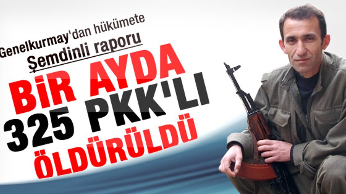 PKK Şemdinli'de bir ayda 318 kayıp verdi
