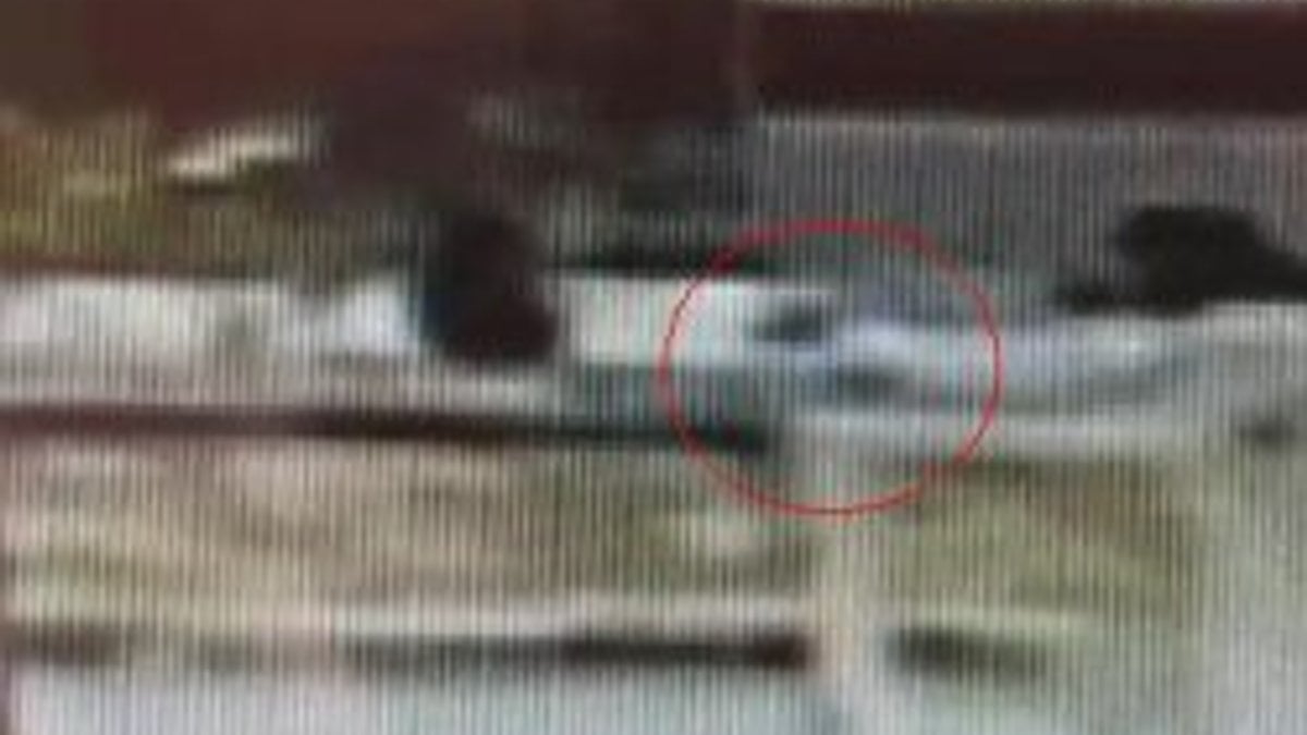 Balıkesir'de otobüs polisi ezdi - Video
