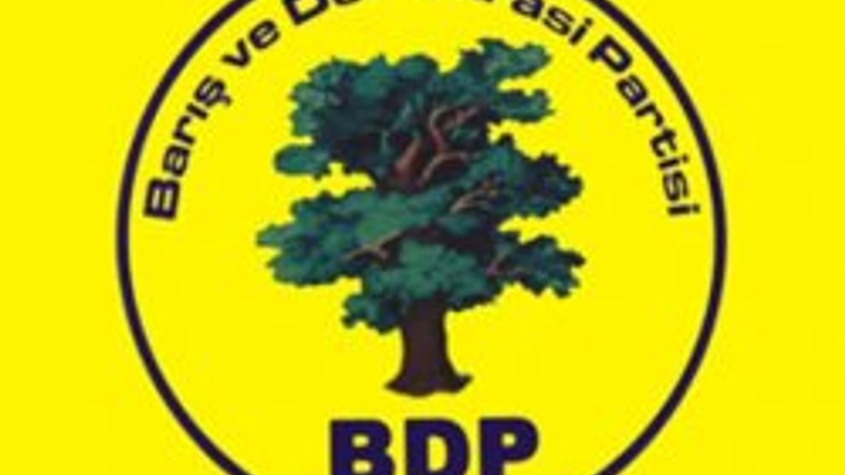 BDP Siirt İl Başkanı istifa etti