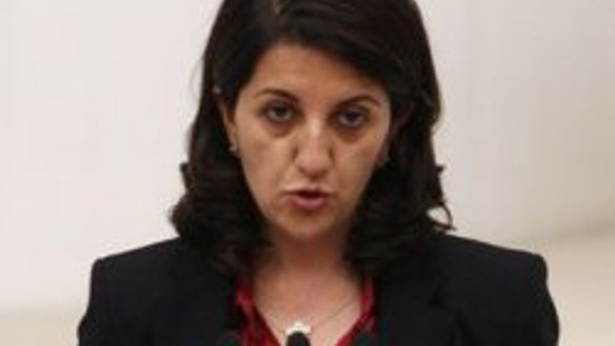 BDP'den tezkereye ret