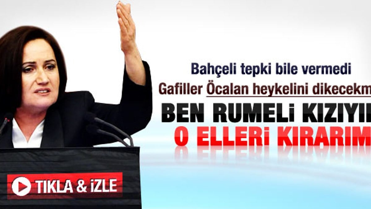 Akşener: Öcalan'ın heykelini dikenin ellerini kırarız