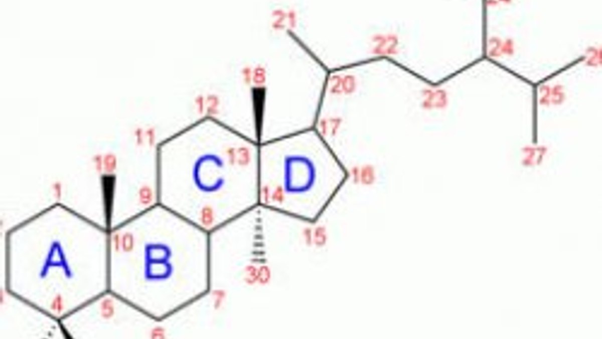 Steroid nedir