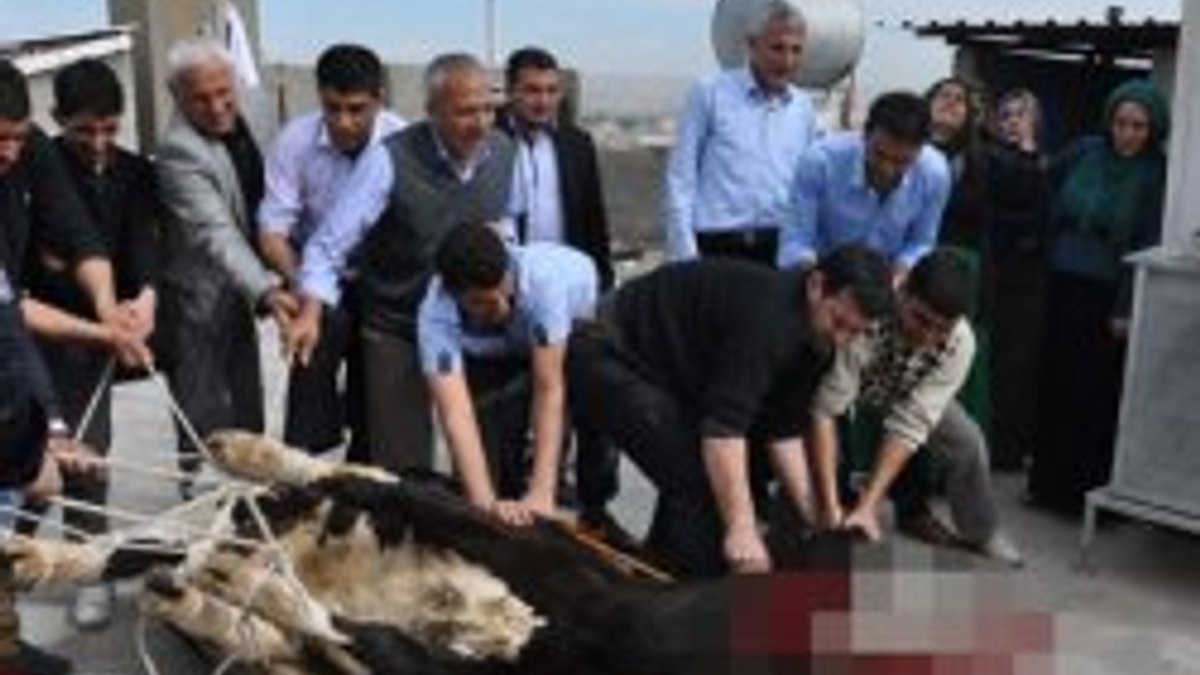 Şanlıurfa'da barış için kan akıtıldı