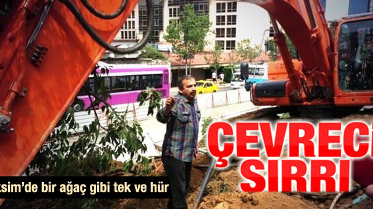 Sırrı Süreyya Önder ağaçları yıkan vincin önünde durdu