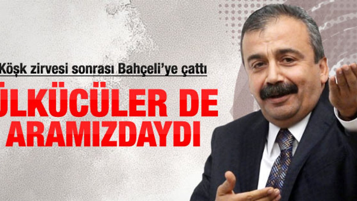 Sırrı Süreyya Önder Gül görüşmesi sonrası konuştu