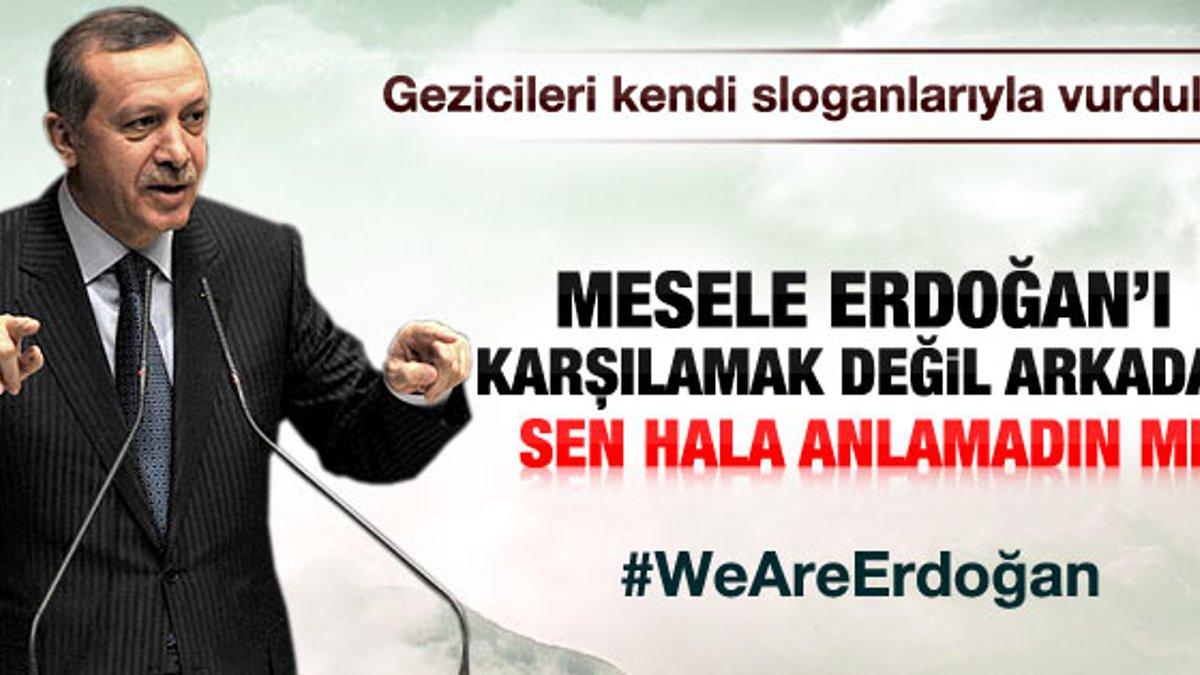 Gezi Parkı eylemcilerine We are Erdoğan'lı gönderme