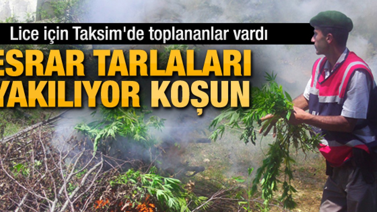 Diyarbakır'da 1000 kişiyle uyuşturucu operasyonu
