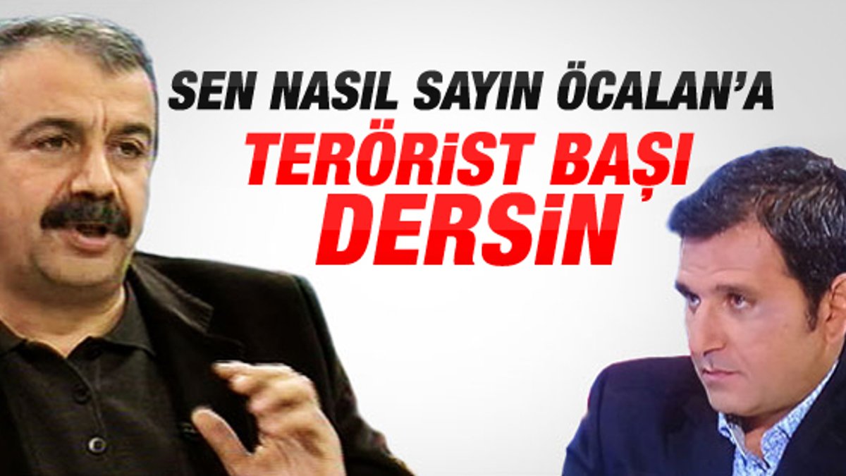 Sırrı Süreyya Önder: Öcalan terörist değil - izle