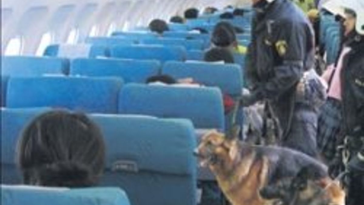 Norveç'ten Türk yolculara köpekli arama