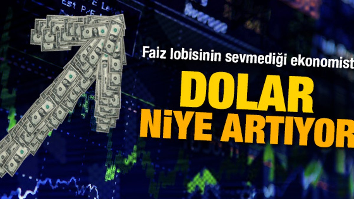 Süleyman Yaşar'ın dolar niye artıyor yazısı
