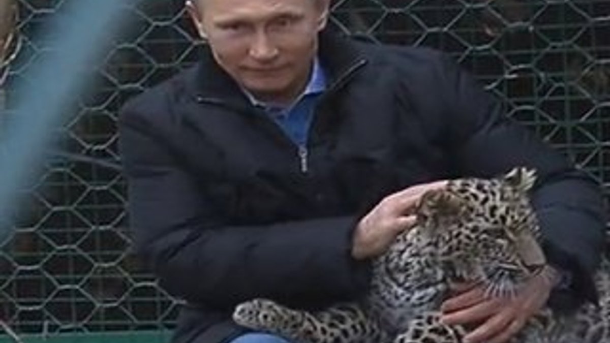 Rusya Devlet Başkanı Putin leopar kafesine girdi - izle