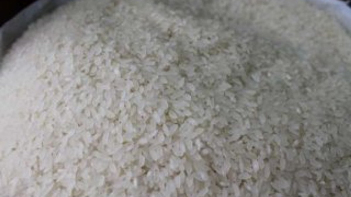 TMO: Pirinç 10 gün içinde 81 ilde olacak
