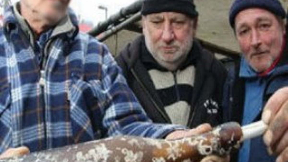 Alman balıkçılar denizden 101 yıllık mesaj buldu