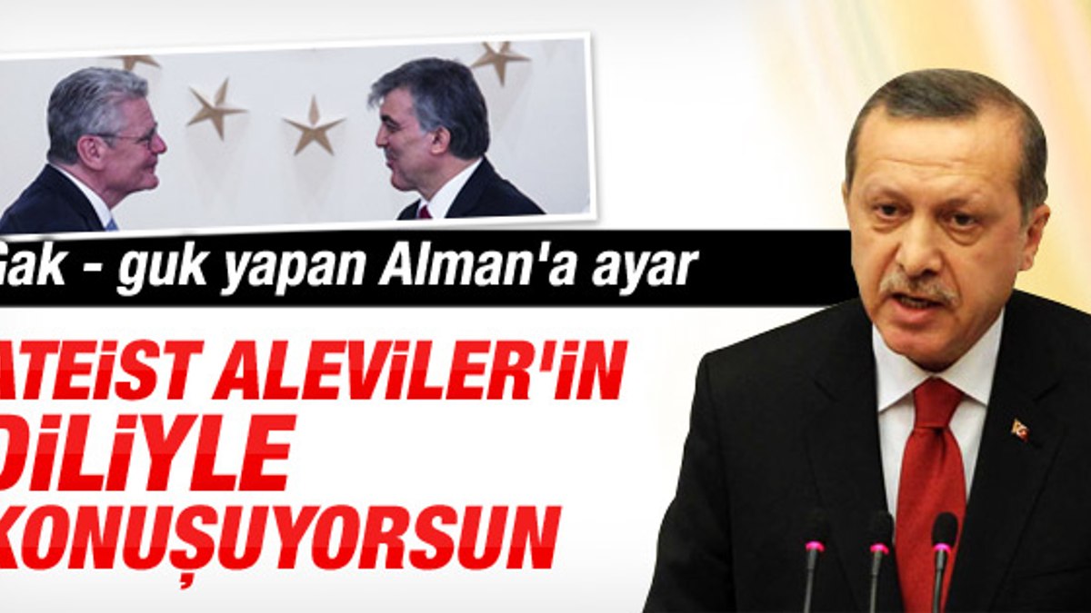 Erdoğan'dan Almanya Cumhurbaşkanı'na sert tepki