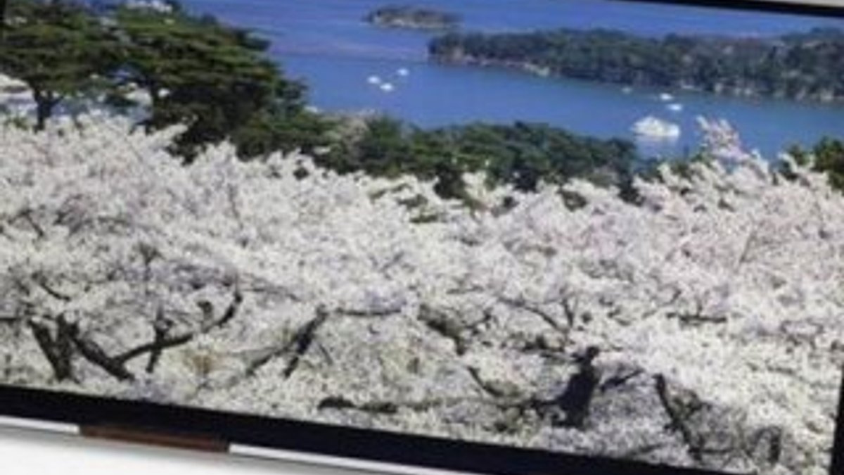 Japonlar 4K'yı tabletlere taşıdı