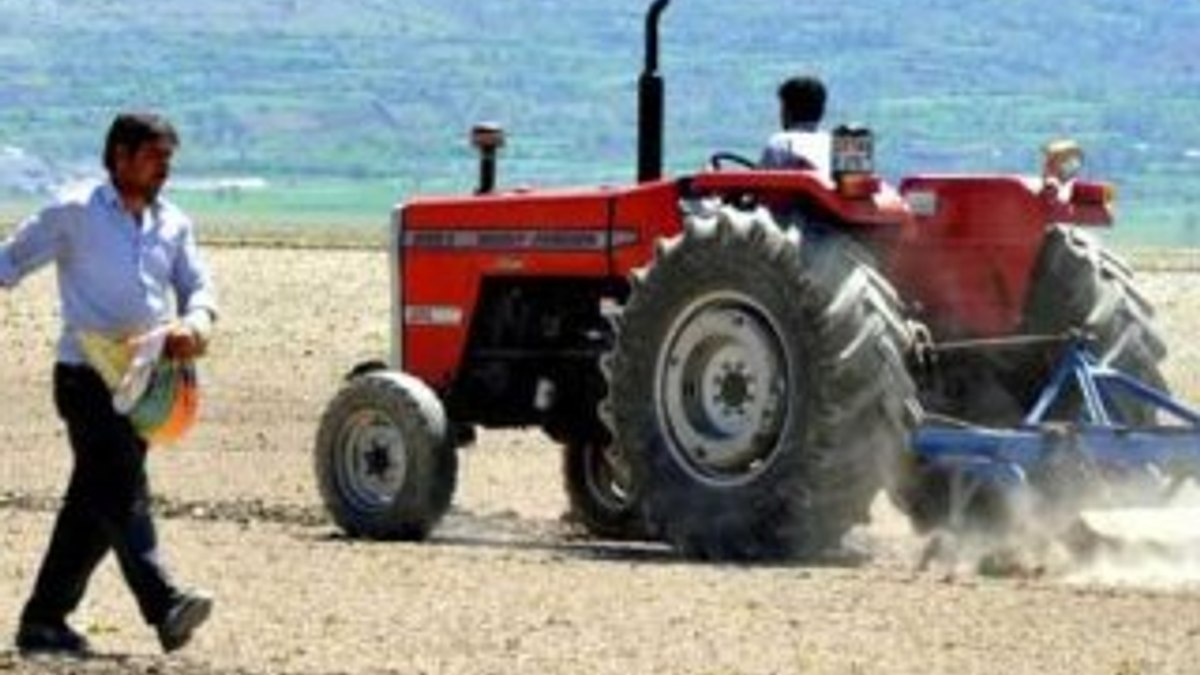 Suların çekildiği Keban Baraj'ında tarlalar ortaya çıktı