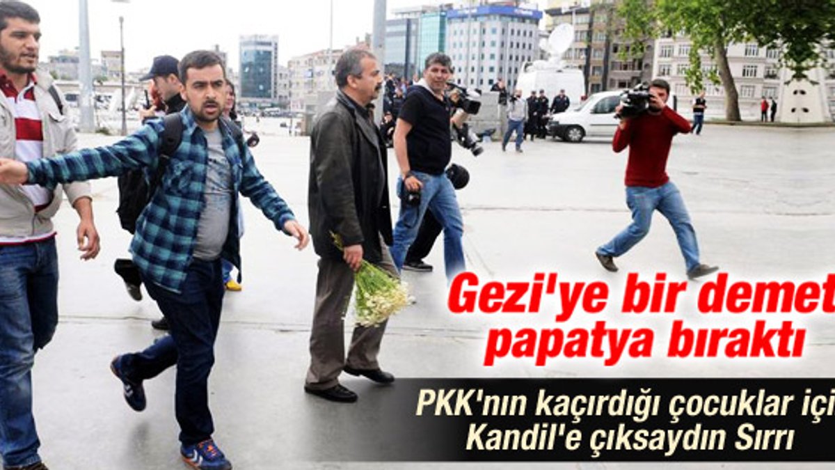 Sırrı Süreyya Gezi Parkı'na gitti