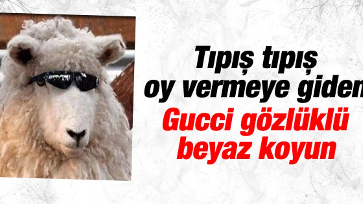 Kılıçdaroğlu'nun tıpış tıpış sözü sosyal medyada