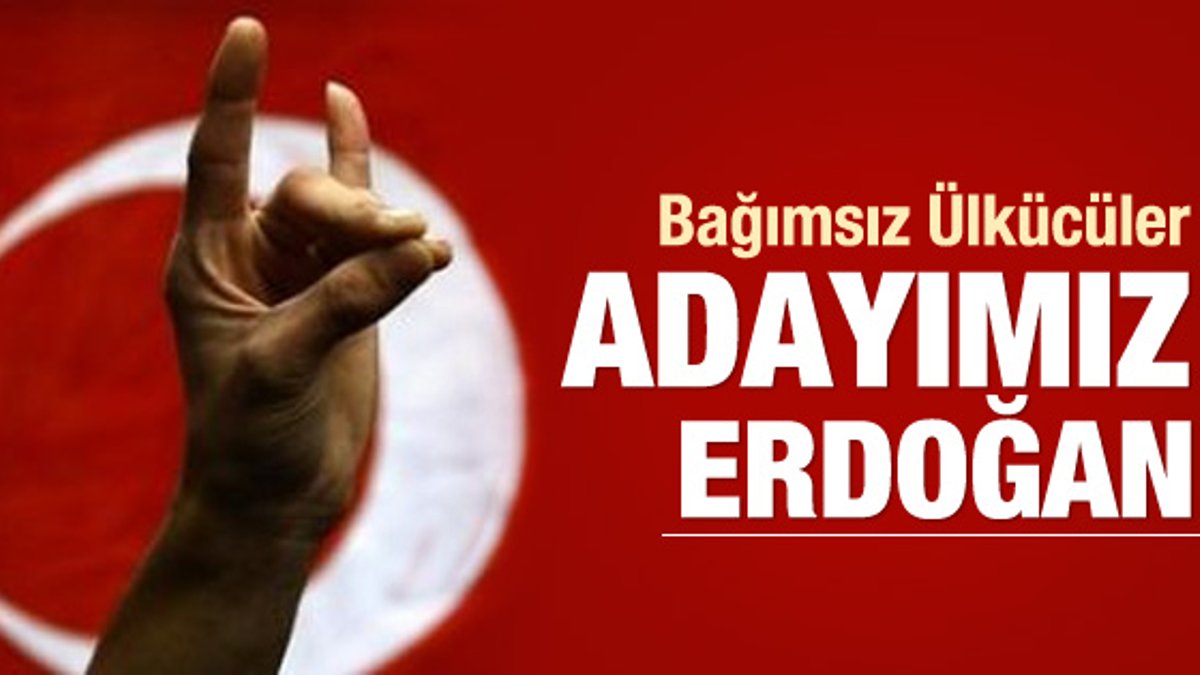 Bağımsız Ülkücüler: Erdoğan'ı destekliyoruz