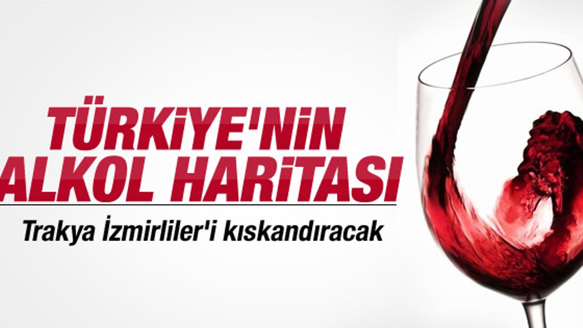 Türkiye'nin alkol haritası