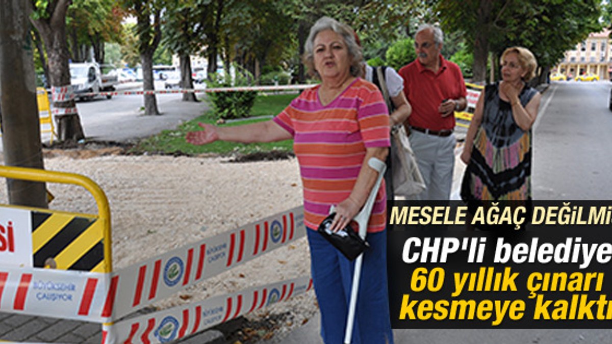 Eskişehir'de belediye 60 yıllık ağacı kesiyordu