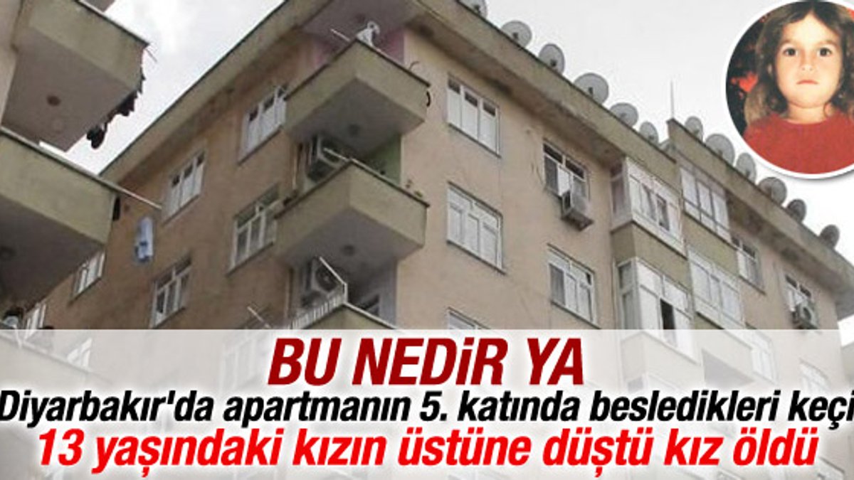 Diyarbakır'da bir keçi 5 katlı binanın çatısından atladı