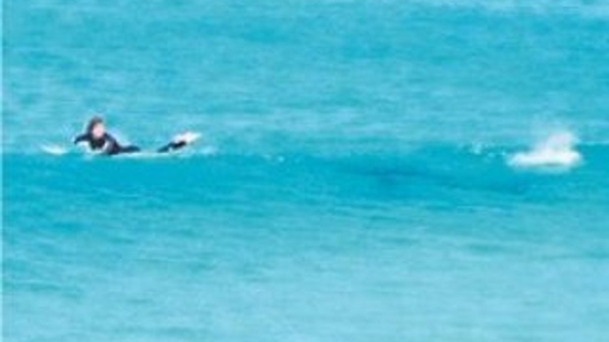 Avustralya'da bir köpek balığının sörfçüyü kovalama anı