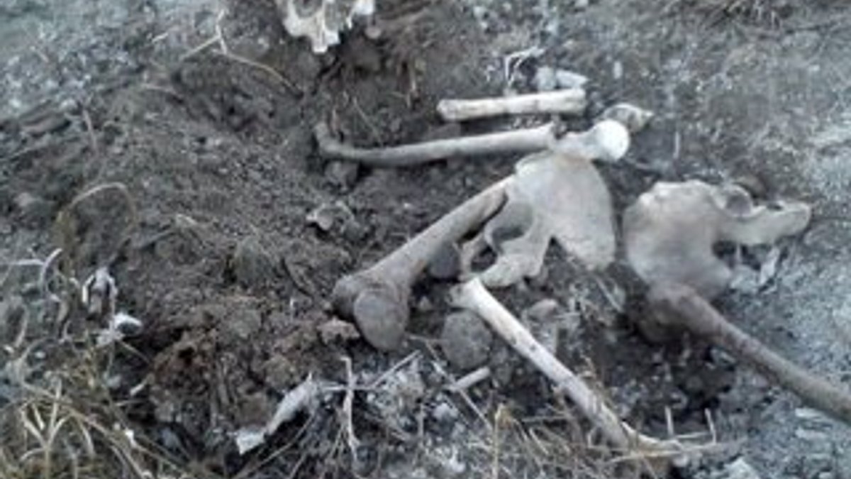 Konya'da koyun otlatan çoban insan iskeleti buldu