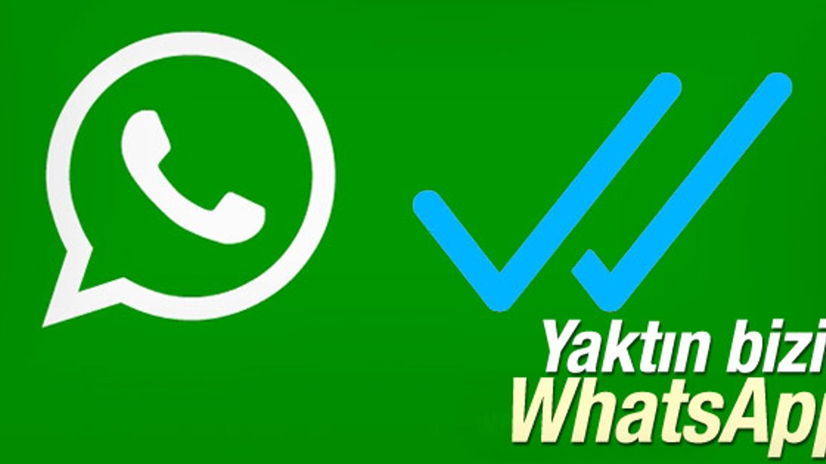 WhatsApp mavi tik işareti özelliği