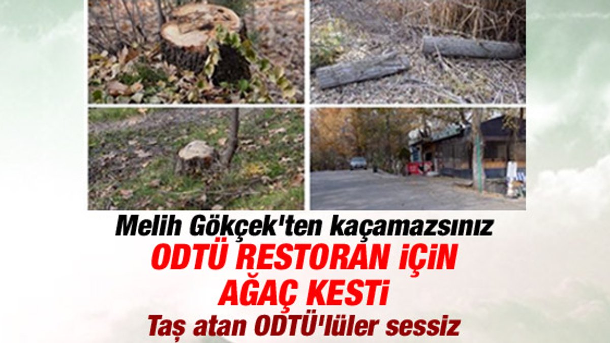 ODTÜ restoran için Eymir'de ağaç katliamı yaptı