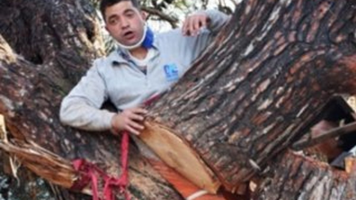 Kestiği ağacın gövdesinde sıkışan kişiyi 4 kepçe kurtardı