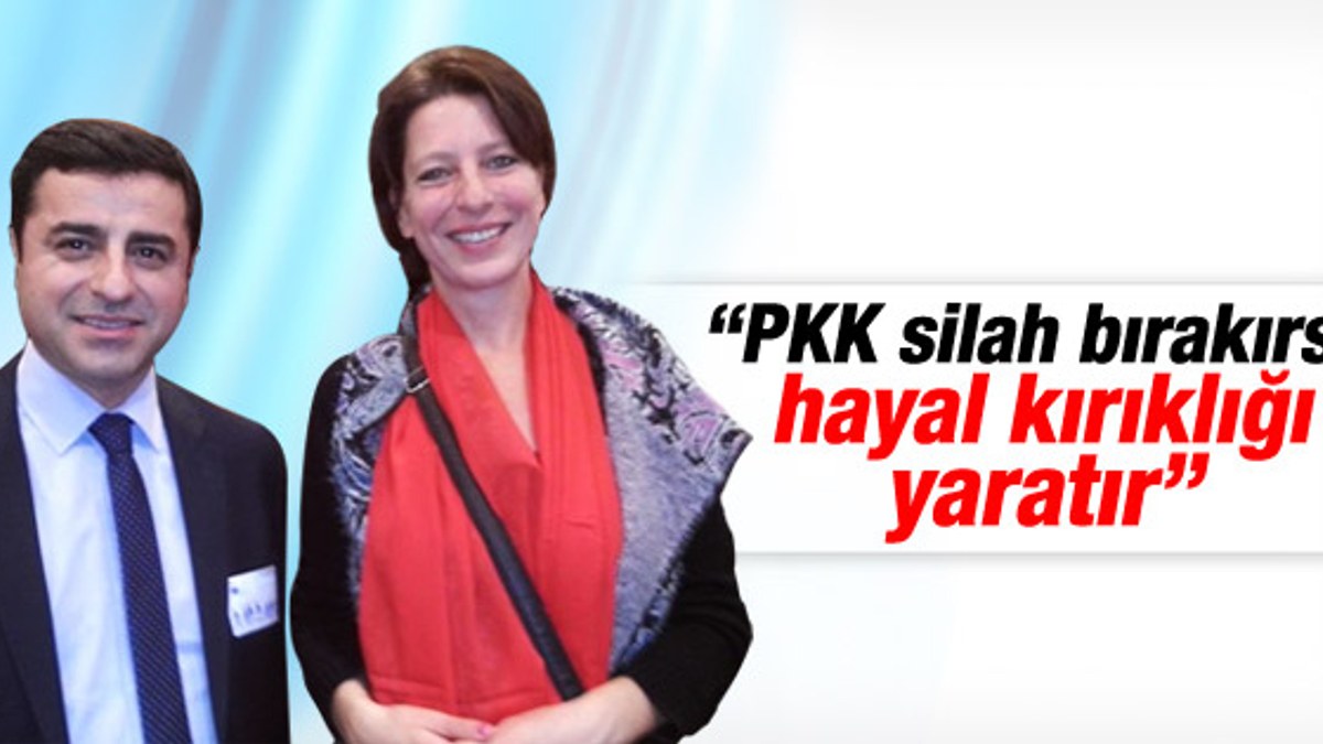Hollandalı gazeteci PKK'nın silah bırakmasını istemiyor